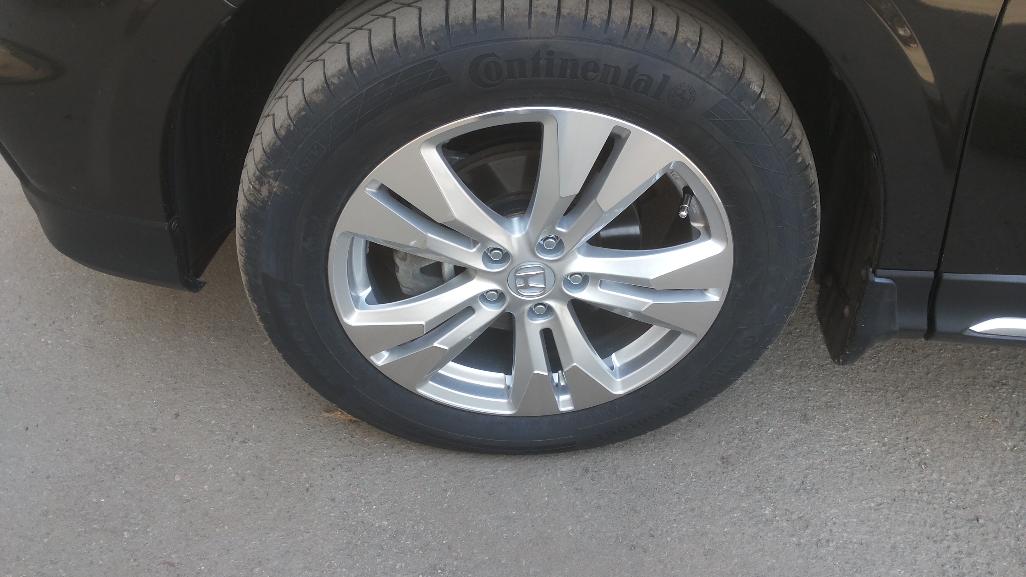 20160330_143834.jpg