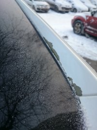 DSC_7976.JPG