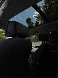 vw tm 4.jpeg